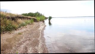 Video 1663975371: skinny small tits milf, sexy skinny milf, skinny amateur milf, skinny matures milfs small, skinny russian milf, skinny petite milf, amateur homemade mature milf, sexy milf mom, natural tits amateur milf, skinny straight amateur, erotic indian milf, sexy milf dancing, tits milf outdoor public, indian milf dancer, skinny belly, skinny cosplay, fishnet milf, hd skinny