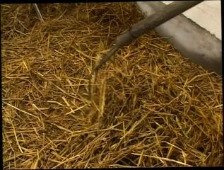 Video 1663289451: rocco siffredi, chubby doggy style, chubby vintage, blowjob couple doggy style, ass doggy style anal, big doggy ass anal, chubby big tits ass, juicy ass doggy style, chubby natural big tits, mature chubby couple, doggy style nude, blonde anal doggy style, vintage italian anal, doggy style straight, doggy style hd, large chubby, big ass porn, moist ass