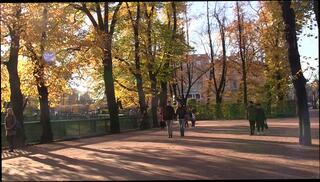 Video 37288704: sexy amateur girl sucks, sexy girl sucking dick, amateur sexy girl fucked, sexy brunette sucks dick, sucks biggest dick