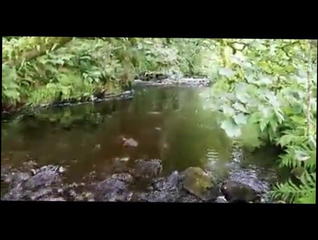 Video 1509669101: tits straight, stories straight, russian big natural tits, big natural tits outdoor