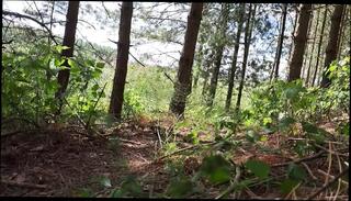 Video 1598952861: skinny solo, solo masturbation jerk, solo masturbation handjob, solo jerk gay, solo amateur jerking, european solo masturbation, solo outdoor masturbation, mature solo masturbation, solo masturbation hd, skinny natural, dick masturbation