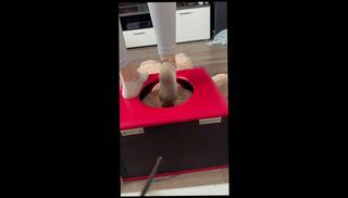 Video 1654362493: fetish feet worship, feet fetish solo, facesitting ass worship smothering, dirty feet worship, feet soles worship, blonde feet worship, facesitting bondage, solo female feet, ass amateur solo, ass worship face, women worship, solo tattooed blonde