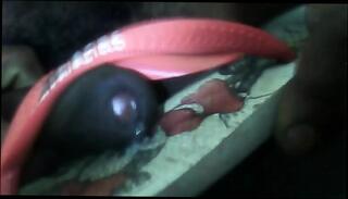 Video 1612956381: foot fetish cum, foot fetish handjob, foot fetish masturbation, foot fetish cumshot, foot fetish cock, gay foot fetish, foot fetish high heels, foot shoe fetish, brazilian foot fetish, foot fetish hd, foot fetish big, panty fetish masturbation, lingerie fetish, latino foot, cum eating