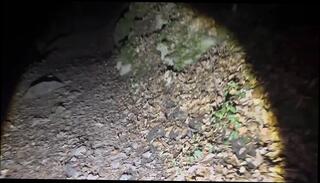 Video 1659189171: chubby amateur solo, chubby mature solo, softcore solo, amateur solo pussy, outdoor solo pussy, straight chubby, solo hd, clothes pussy