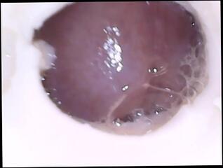 Video 1626384143: pov creampie cum, pussy creampie pov, solo male masturbation pov, pov cumshot creampie, amateur pov creampie, solo masturbation pussy toying, creampie cum inside pussy, amateur creampie porn, vagina creampie, women creampie, pov precum, camera creampie