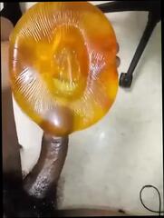 Video 1663363411: solo masturbation sex toys, homemade solo sex, gay homemade solo, solo masturbating straight, stroking gay solo, mature solo toys, solo guy masturbating, black solo masturbation, american gay sex