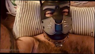 Video 1582878613: hairy chubby boy, chubby boy solo, chubby hairy gay, hairy dick solo, hairy cock solo, fetish gay solo, hairy chubby bear, hairy chubby men, furry chubby, chubby male solo, chubby hairy big, solo fetish play, hairy dick balls, solo male cumshots gay, hairy latino gay, puppy fetish, solo tattoo male, good hairy, bad boy dick, puppy jerking