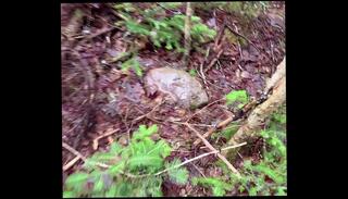 Video 1665679745: tiny tits sexy, tiny tit babe, cute tiny babe, tiny petite babe, sexy tiny asian, tiny women, pussy pissing