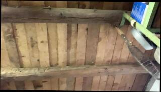 Video 1663648821: hairy pussy fucked uncensored, pov hairy pussy fuck, pov hairy wet pussy, hairy pussy solo, hairy solo girl, uncensored amateur pov, hairy teen solo, solo pov hot, hairy bisexual, hairy pussy fucking slut, horny homemade solo girl, solo horny sexy girl, teen slut perverted uncensored, hairy pussy fucked hard, very hairy pussy fucked, hairy pussy fucked close, hottest homemade solo girl, nude hairy pussy, solo teen naughty girl, solo petite teen slut, beautiful teen fucked pov, hd pov teen fuck, hairy pussies straight, hairy pussy european, uncensored erotica, nudity girl, home solo horny, naughty amateur bulgarian