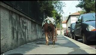 Video 1662804451: solo girl dildo masturbating, sex dildo toys solo, softcore solo masturbation, retro softcore, solo female dildo, horny girl solo masturbation, solo nasty girl, dirty solo masturbation, chick solo masturbation, solo masturbation striptease, straight dildo toys female, european solo masturbation, solo masturbation hd, retro office, cutie dildo, long dildo