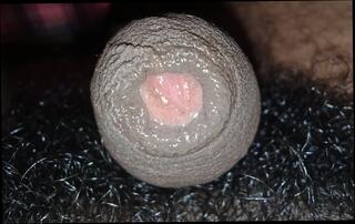 Video 1658018391: solo gay uncut cock, hairy big uncut cock, hairy uncut daddy, teen femboy solo, amateur femboy solo, hairy teen creampie, hairy teen boy gay, daddy's small uncut cock, uncut cock handjob, uncut cock blowjob, femboy boy friend, desi boy solo, uncut young boys, teen creampie hd, boys funny, mom steps