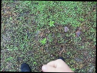 Video 1618990081: solo cock masturbation cum, solo masturbation nude, white cock solo masturbation, solo masturbation naked, solo masturbation jerk, solo jerk cumshot, solo jerk gay, solo men masturbating, solo public masturbation, solo outdoor masturbation, man solo jerk, solo masturbation hd, solo outside, park nude