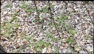 Video 1664705291: gay uncut boys pissing, solo uncut cock masturbating, big uncut cock solo, uncut cock wank cum, uncut cock jerk cum, uncut cock masturbation cumshot, piss outdoor gay boys, pissing young gay boy, amateur solo boy, solo masturbation hd, white boy cum, sauna boys