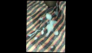 Video 1618009803: solo male masturbation cum, solo male masturbation cumshot, solo handjob cum, amateur solo handjob, solo sperm, solo nut, sperm semen