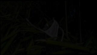 Video 1616854645: eve nicholson, milf fingers fuck pussy, cougar milf anal, milf shaving pussy fingering, milf cougar mom, cougar milf masturbate, milf blowjob facial cumshot, plug anal fuck, milf step mom anal, cock anal plug, fishnet finger fucked, heels finger fucks, lingerie finger fucks, haired milf fucks, high heels fingering