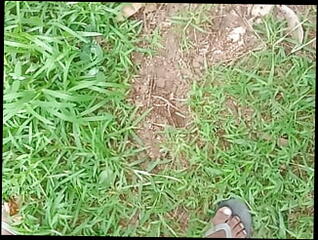 Video 1611886351: pissing peeing, gay boy pee, pissing young gay boy, boy piss cum, piss facial cum, pissing boys public, homemade pee, pee cumshot, pissing asian boys, pissing mouth gay, peeing blowjob, pee close, pee hd
