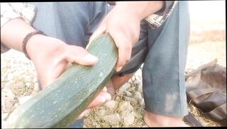 Video 1658327111: daddy fucks twink bareback, twink bareback fucks cum, twink bareback ass fucking, twink anal fucks bareback, twink fucked bareback gay, twink bareback fucking teen, bareback twink gay sex, african twinks bareback fuck, twink big cock bareback, big dick twinks bareback, homemade twinks bareback, twinks bareback cumshot, twinks blowjob bareback, barebacks black twink, gay twink fucks straight, bareback fuck cum eating, bareback fucking guys ass, desi twinks gay fucking, dads fuck twink, bareback fucking gay man, twink masturbate cum, twink fuck toy, twink handjob cum, massive twink cock, indian twink fuck, twink cum load, fucking bareback hd