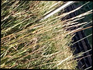 Video 1582402711: bareback twink boy pov, hairy twinks bareback, sex bareback twink boy, gay bareback twink boy, twink boy fetish, big dick twinks bareback, solo twink boys, barebacks young twink gay, hairy ass bareback, grandpa gay twink, hairy daddy bareback, twink big cock bareback, crossdressing gay twink, crossdresser solo cum, twinks blowjob bareback, twink teen bareback, hairy amateur bareback, solo straight twink, twink barebacking outdoors, hairy muscle bareback, barebacks black twink, twink hot bareback, hairy man solo, twink gay sex old, twink boy arab, dick closeup, grandpas public sex, ass pov hd, crossdresser training, boys pants