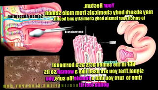 Video 1240296545: sissy gangbang, sissy clit, shemale sissy, gay sissy, japanese gay gangbang, sissy hypno