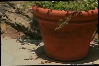 Video 1657946281: lesbian babes dildoing pussy, pussy dildo fucking lesbians, lesbian dildo action, dildos toys lesbian, lesbian dildo sex, hardcore lesbian dildo, tits lesbian dildo, dildo amateur lesbians, lesbians sharing dildo, hot lesbian dildo, lesbian big dildo, dildo fucking amateur slut, pussy eating lesbian action, lesbian hard sex action, dildo fucked brunette babe, hottest amateur dildos toys, pornstar lesbian sex, small titted lesbian babe, straight dildo toys, redhead lesbian slut, lesbian sex time, great dildo, best dildo, pussy fucked harder